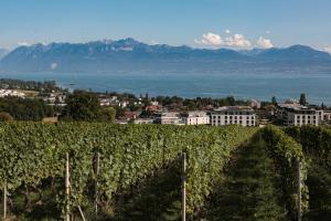 un viñedo con una ciudad y montañas en el fondo en Les Volets Bleus en Morges