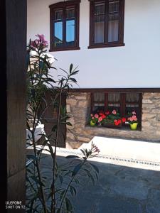 Fotografie z fotogalerie ubytování Guest House Strumena v destinaci Elena