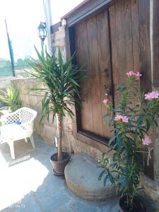 Zahrada ubytování Guest House Strumena
