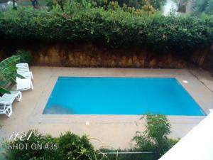 una piscina azul con 2 sillas y un seto en Villa mango, en Somone 1 foto más