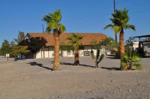 a palm tree stands in front of a palm tree house at K7 Bed and Breakfast in Pahrump