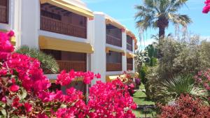 Gallery image of Club Canario in Playa del Ingles