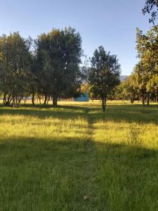 Loodusmaastik of the country house lähedal