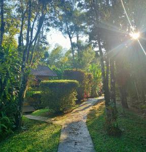 a path in a garden with the sun shining through trees at Repousada Sana in Sana +37 photos