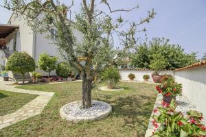 een boom in het midden van een tuin met bloemen bij Eva in Poreč * Istrien in Poreč
