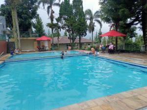 a large blue swimming pool with people in it at Alfa Resort Hotel and Conference in Puncak