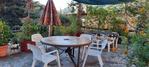 A garden outside Casa Tonya