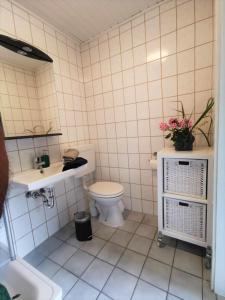 a small bathroom with a toilet and a sink at 14 Bienenstock in Parchtitz