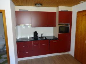 A kitchen or kitchenette at Ferienwohnung Casa Ursina