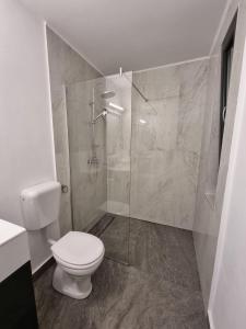a bathroom with a toilet and a glass shower at Bungalow Terra Kordu in Baile Felix
