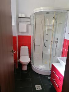 a bathroom with a shower and a toilet in it at Vila Man in Sovata