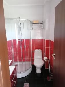 a bathroom with a toilet and a shower with red tiles at Vila Man in Sovata