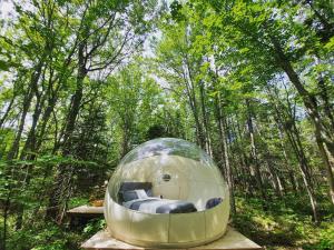 una cúpula de cristal sentada en medio de un bosque en Maplebrook Retreat, en Pointe-du-Chêne