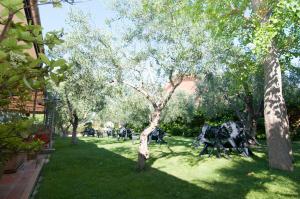 Giardino di Albergo Conca D'Oro