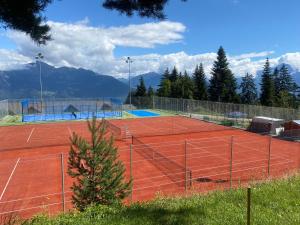 Tenis alebo squash v ubytovaní Alpine apartment in Swiss village of Torgon alebo jeho okolí