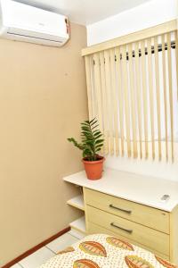 um quarto com uma planta numa parede ao lado de uma cómoda em Sol de Maceió em Maceió