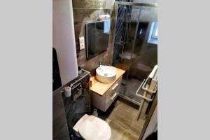 uma casa de banho com um lavatório, um WC e um espelho. em Le repaire malouin em Saint Malo