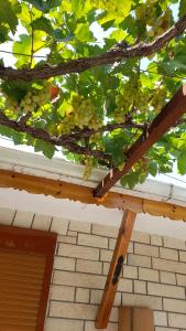 Gambar di galeri bagi Camping late di Gjirokastër