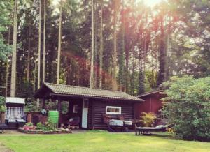 a small cabin in the middle of a forest at Casa Foresta - minimalistisches 1-Raum Tiny House direkt am Wald in Wingst