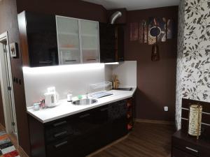 Køkken eller tekøkken på Studio 1 Iceberg Borovets