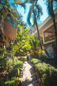 a pathway leading to a house with palm trees at Colibri Apartments - 4 min walk to the Beach! in Santa Teresa Beach