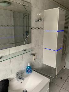 W łazience znajduje się umywalka i lustro. w obiekcie Stadtrand Wilhelmshaven w mieście Schortens