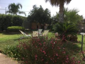 A garden outside Birgi holiday home