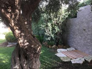 A garden outside Birgi holiday home