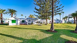 a house with palm trees in front of a yard at Canary Garden Club in Maspalomas