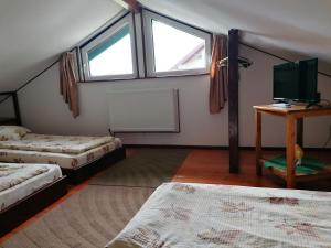 a bedroom with two beds and a tv and windows at Casa Riciu in Buşteni