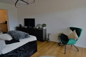 um quarto com uma cama, uma cadeira e uma televisão em Modernes Apartment mit Traumhaftem Blick ins Grüne em Bräunlingen