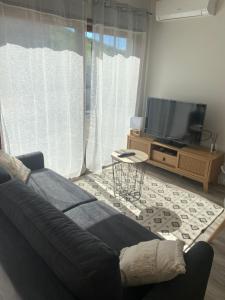 TV a/nebo společenská místnost v ubytování Très jolie mini villa douillette avec vue sur montagne
