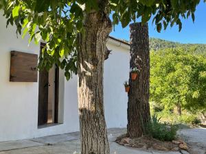 里奥帕尔Casa Rural El Carrizal的相册照片
