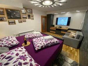 オストラヴァにあるLuxury Apartments Ostravaのリビングルーム(ベッド2台、テレビ付)
