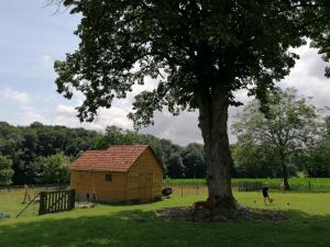 a dog standing next to a tree next to a shed at Le Repos in Brakel