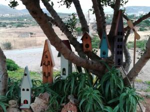 a group of birdhouses hanging from a tree at Domatia me Thea in Elafonisos