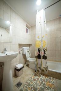a bathroom with a sink and a toilet and a shower curtain at Thor și Cora in Sovata
