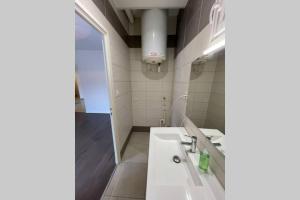 een badkamer met een wastafel en een spiegel bij Red lights grand appartement in Saint-Étienne