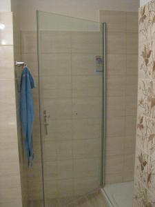 a shower with a glass door in a bathroom at Apartmán Olomouc Ručilova in Olomouc