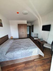 1 dormitorio con 1 cama grande y TV de pantalla plana en Pensiunea Casa Doamnei en Tămaia
