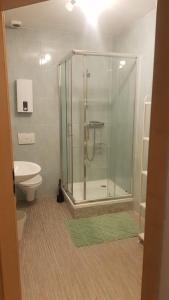 a bathroom with a shower with a toilet and a sink at Niederdreisbacher Hütte - moderne Doppelzimmer - EINZELBETTEN - in Niederdreisbach