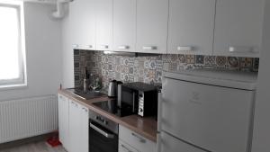 Gallery image of Apartament Stefan in Oradea