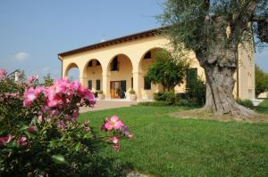 a house with a tree and flowers in the yard at Relais Ca' Serena in Roncade