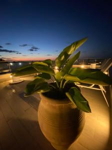 Fotografie z fotogalerie ubytování B&B Torre Pozzillo v destinaci Cinisi