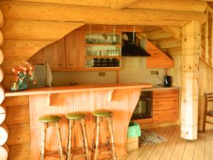 a kitchen with a bar in a log cabin at Brīvdienu māja Pie sievasmātes in Cesvaine