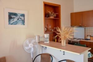a kitchen with a table with a fan on a counter at Komfort Stone House in Antimácheia