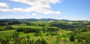 Príroda v okolí dovolenkového domu