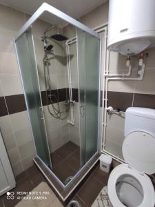 Kúpeľňa v ubytovaní Vila Vera Borsko Jezero