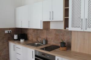 Kuchyňa alebo kuchynka v ubytovaní Zwinger Apartman