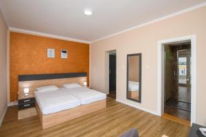 a bedroom with a large bed and a mirror at Danubiana Apartments 5 in Kladovo